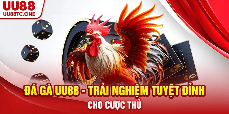 Đá gà UU88 - Trải nghiệm tuyệt đỉnh cho cược ththủ